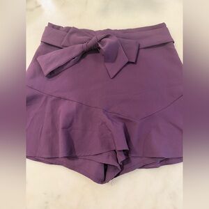 Zara Deep Purple Skirt